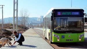 Hayvan dostu otobüsler yollarda