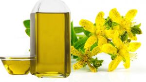 Kantaron yağı romatizma ağrılarını kesiyor!