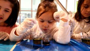 Kış Akademileri’ne yoğun ilgi