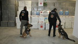 Kocaeli'nde dev kaçakçılık operasyonu