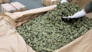 Kocaeli'nin 1 haftalık zehir bilançosu