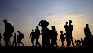 Göçmen kaçakçıları serbest bırakıldı