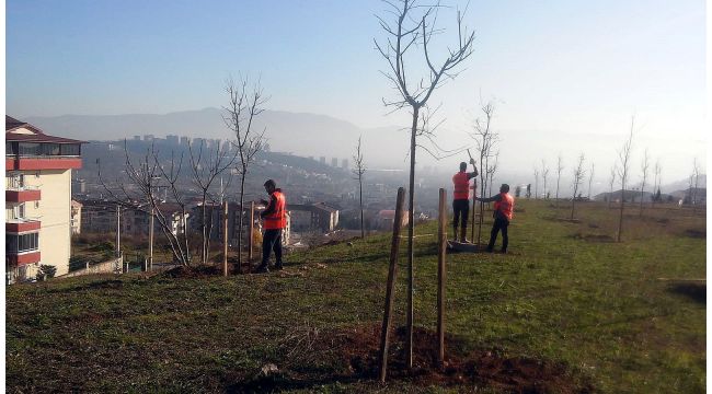 Hükümlüler fidan dikerek doğaya katkı sağlıyor