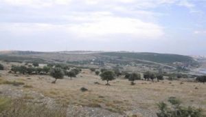 Muallimköylüler ayaklandı