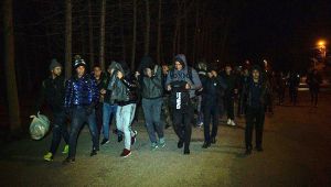 Mülteciler Avrupa'ya geçmek için sınır kapılarına hareket etti