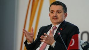 Tarım ve Orman Bakanı Pakdemirli'den çiftçilere müjde