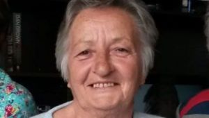 Uçak kazasında Kocaelili kadın ağır yaralandı 