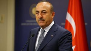 Bakan Çavuşoğlu Avrupa'dan gelecek Türklerin sayısını açıkladı