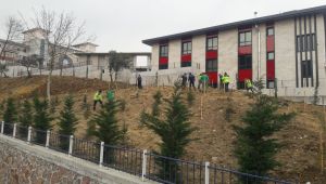 Karamürsel İtfaiye Binası çevresinde ağaçlandırma