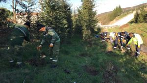 Körfez otoban yolu kenarına 800 fidan dikildi