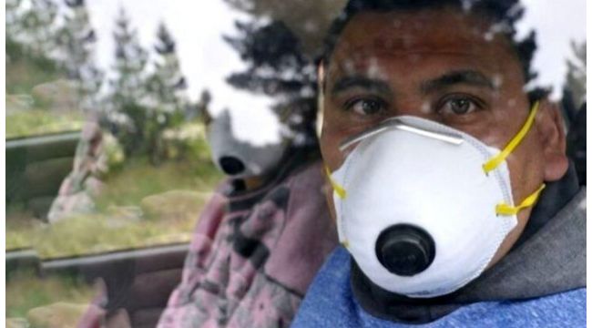 Koronavirüsten sonra Hantavirüs paniği!