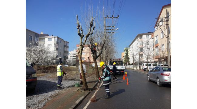 Park bahçelerden budama çalışmaları