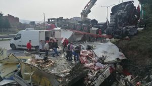 TEM’de devrilen tırdaki yüzlerce kilo et yola saçıldı