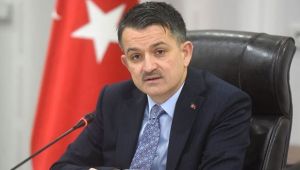 Bakan müjdeyi verdi! Yüzde 75'i bedava!