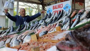 Balıkçılar koronavirüs nedeniyle av sezonunu erken kapattı