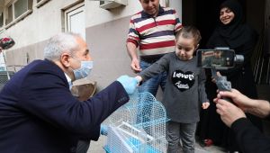 Büyükgöz 6 yaşındaki çocuğa muhabbet kuşu hediye etti