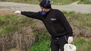 Büyükşehir Gebze’de vektörle mücadele ediyor