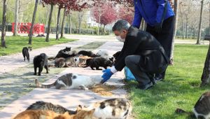 Dilovası’nda, sokak hayvanları unutulmadı