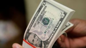 Dolar kritik seviyeye dayandı! 