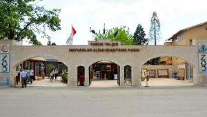 Hayvanat Bahçesi’ndeki hayvanlara korona önlemi