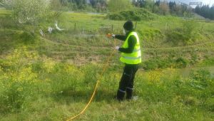 İzmit Belediyesi sivrisineklere karşı mücadele başlattı