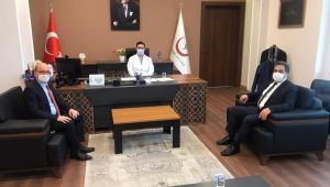 Kaymakam ve ilçe sağlık müdürü, vakaları yerinde dinledi