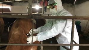 Kocaeli İl Müdürlüğü, Lütfü Türkkan'ı yalanladı