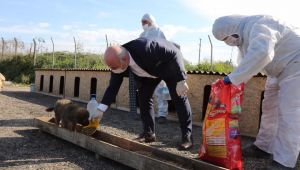 Muzaffer Bıyık kendi elleriyle besledi