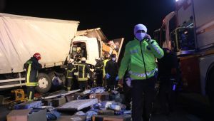 TEM'de iki kamyon çarpıştı: 1 yaralı