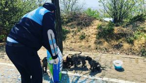 Zabıta ekipleri vatandaşların emrinde olacak