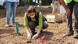 Belediye korona virüs tedbiri kapsamında arazilerinde tarıma başladı