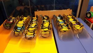 Bilim Merkezi ve gönüllülerden 5 bin siperlik