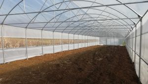 Büyükşehir’den çiftçilere yüzde 50 hibeyle destek