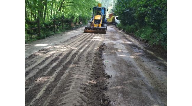 Çınarlıdere Mesire Alanı’na yürüyüş yolu düzenlemesi