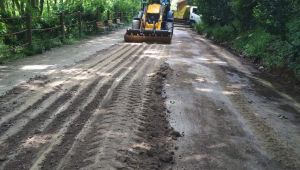 Çınarlıdere Mesire Alanı’na yürüyüş yolu düzenlemesi