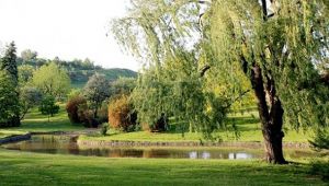 Gebze Millet Bahçesi Eylül'de ihaleye çıkacak