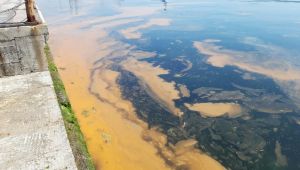 İzmit Körfezi’nde oluşan tabakayla ilgili açıklama