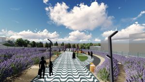 İzmit’te lavantalar içerisinde sosyal yaşam alanı