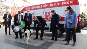 İzmit’te sokak hayvanlarının yardımına ambulans yetişecek