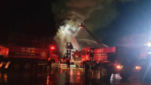 Kastamonu Entegre'nin odunluk bölümünde yangın