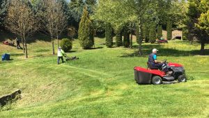Kent genelindeki yeşil alanlar temizleniyor