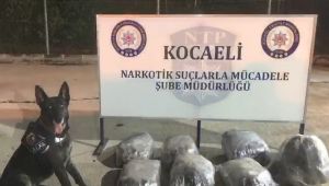 Kocaeli'de 42 kilo esrar ele geçirildi