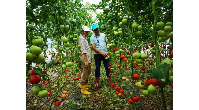 Kocaeli'de ekili alan sayısı her geçen gün artıyor