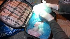 Kocaeli'de kargo aracından 34 bin uyuşturucu hap çıktı