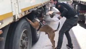 Kocaeli'de yapılan operasyonda 155 kilo eroin çıktı