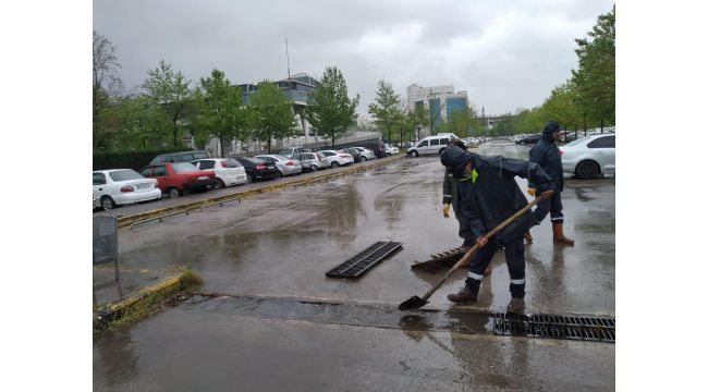 Kocaeli genelinde mazgallar temizleniyor