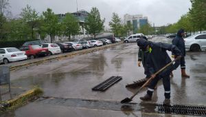 Kocaeli genelinde mazgallar temizleniyor