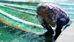 Kocaeli'ne bu hafta Afrika sıcakları geliyor