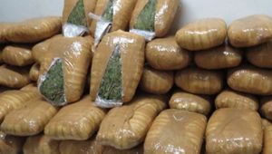 Kocaeli'nin 1 haftalık uyuşturucu bilançosu