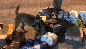 Kocaeli TEM’de uyuşturucu tacirlerine darbe